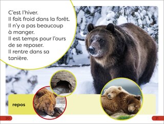 Sample content 5_DK Super Readers Pre-level Une Histoire d'ours (A Bear's Tale)
