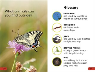 Sample content_DK Super Readers Pre-Level Garden Friends