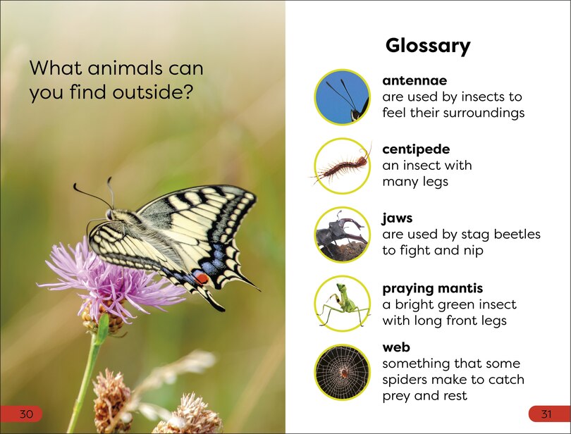 Sample content_DK Super Readers Pre-Level Garden Friends