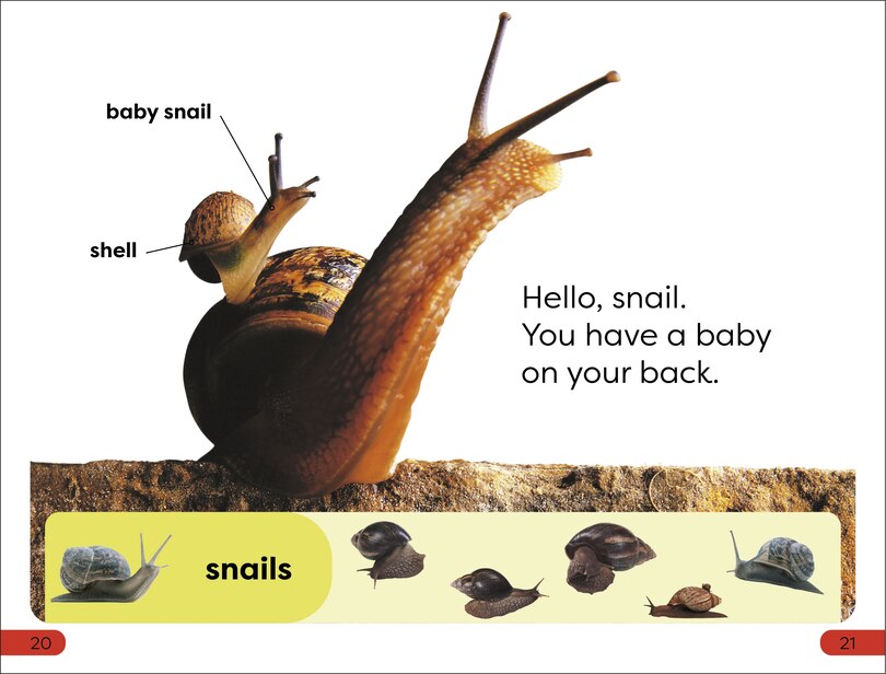 Sample content 2_DK Super Readers Pre-Level Garden Friends