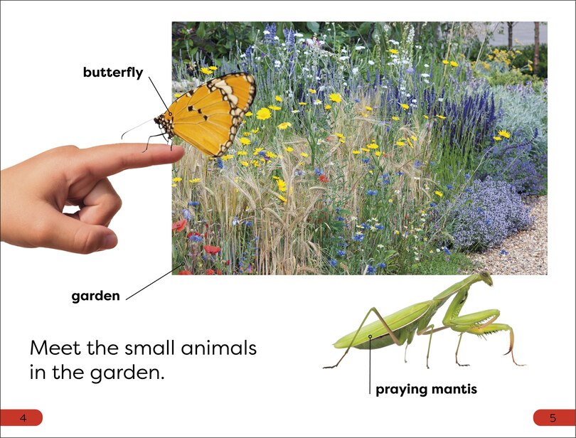 Sample content 3_DK Super Readers Pre-Level Garden Friends