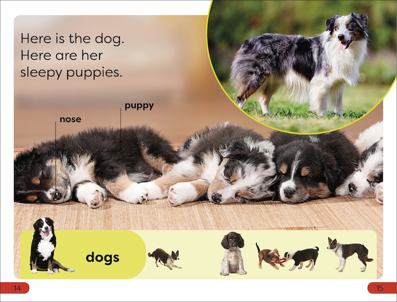 Sample content 2_DK Super Readers Pre-Level Farm Animals