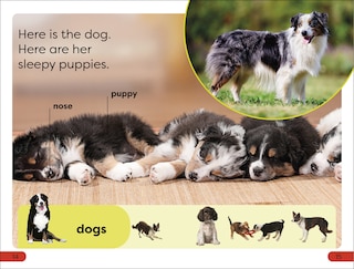 Sample content 2_DK Super Readers Pre-Level Farm Animals