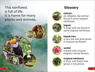 Sample content 3_DK Super Readers Pre-Level Into the Rainforest