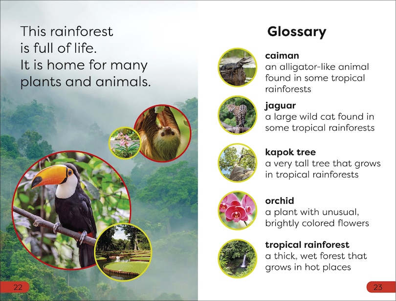 Sample content 3_DK Super Readers Pre-Level Into the Rainforest