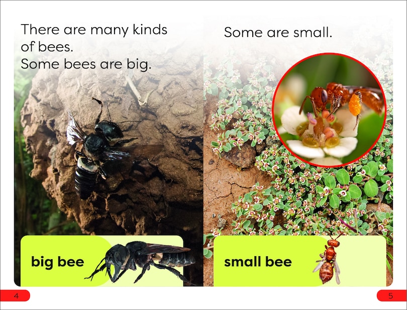 Sample content_DK Super Readers Pre-Level Save the Bees