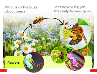 Sample content 2_DK Super Readers Pre-Level Save the Bees