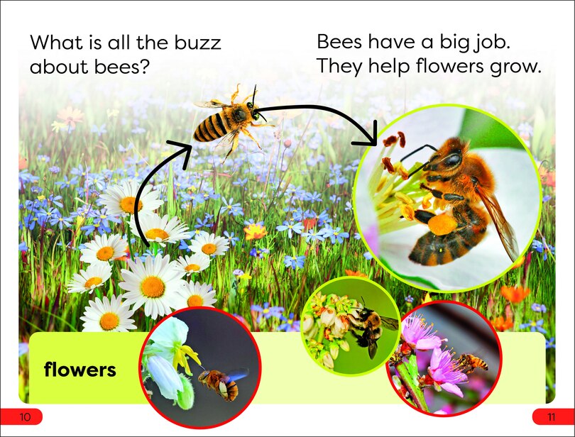 Sample content 2_DK Super Readers Pre-Level Save the Bees