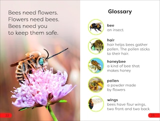 Sample content_DK Super Readers Pre-Level Save the Bees