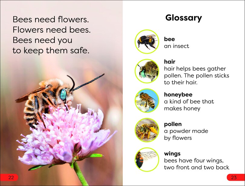 Sample content_DK Super Readers Pre-Level Save the Bees