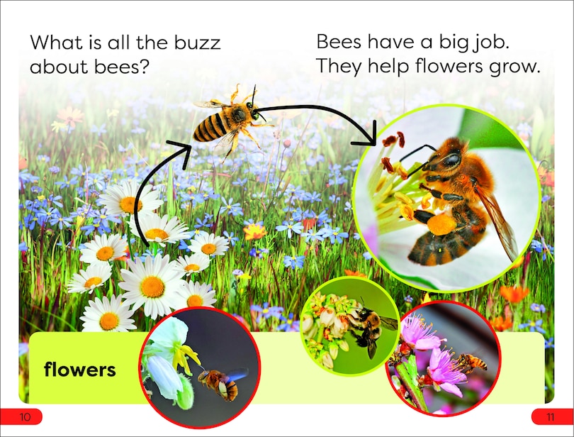 Sample content 2_DK Super Readers Pre-Level Save the Bees
