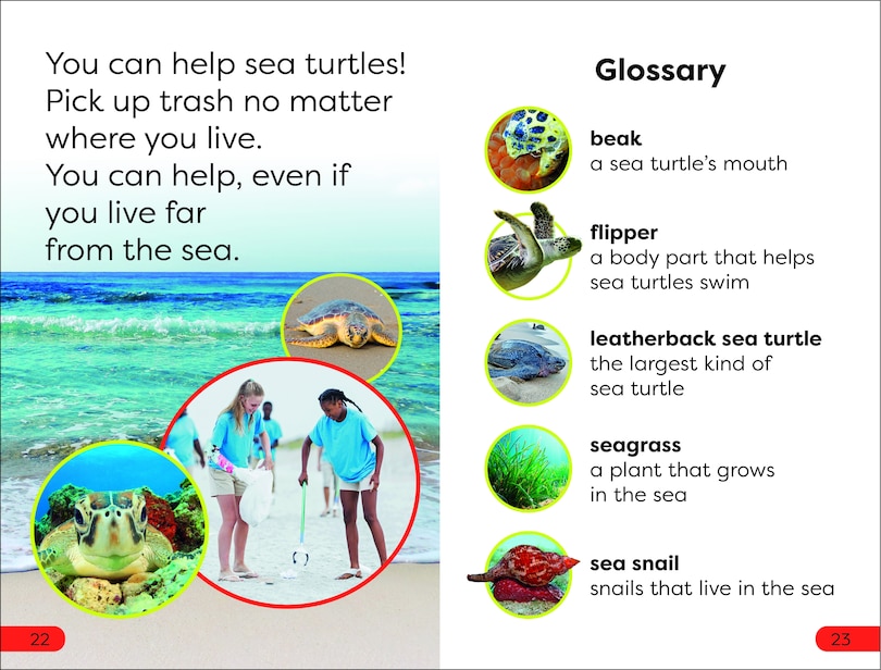 Sample content_DK Super Readers Pre-Level Save the Sea Turtles