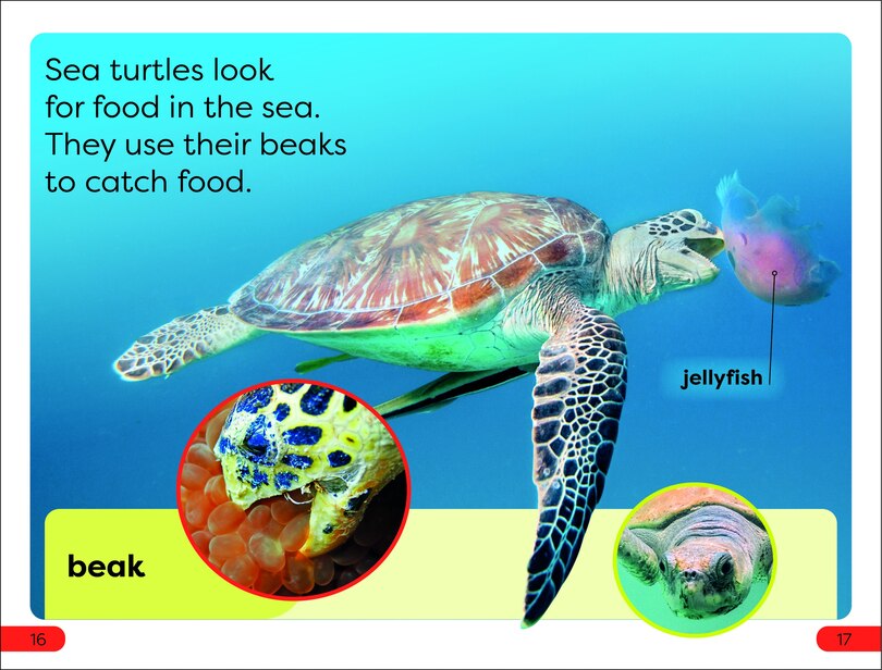Sample content 2_DK Super Readers Pre-Level Save the Sea Turtles