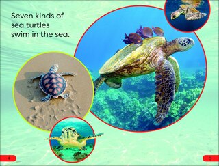 Sample content 3_DK Super Readers Pre-Level Save the Sea Turtles