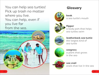 Sample content_DK Super Readers Pre-Level Save the Sea Turtles