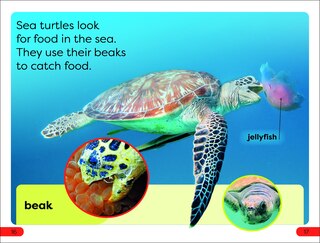 Sample content 2_DK Super Readers Pre-Level Save the Sea Turtles