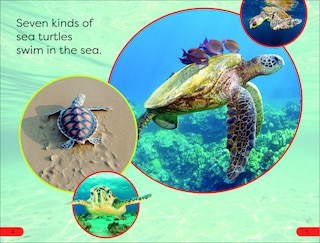 Sample content 3_DK Super Readers Pre-Level Save the Sea Turtles