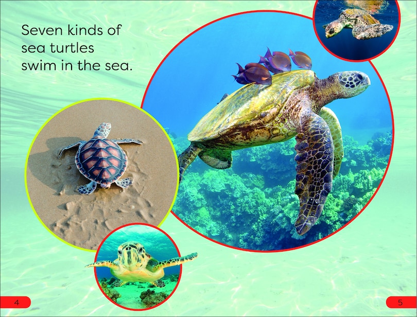 Sample content 3_DK Super Readers Pre-Level Save the Sea Turtles