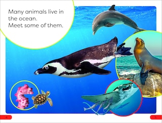 Sample content_DK Super Readers Pre-Level Ocean Animals