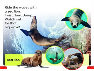 Sample content 2_DK Super Readers Pre-Level Ocean Animals