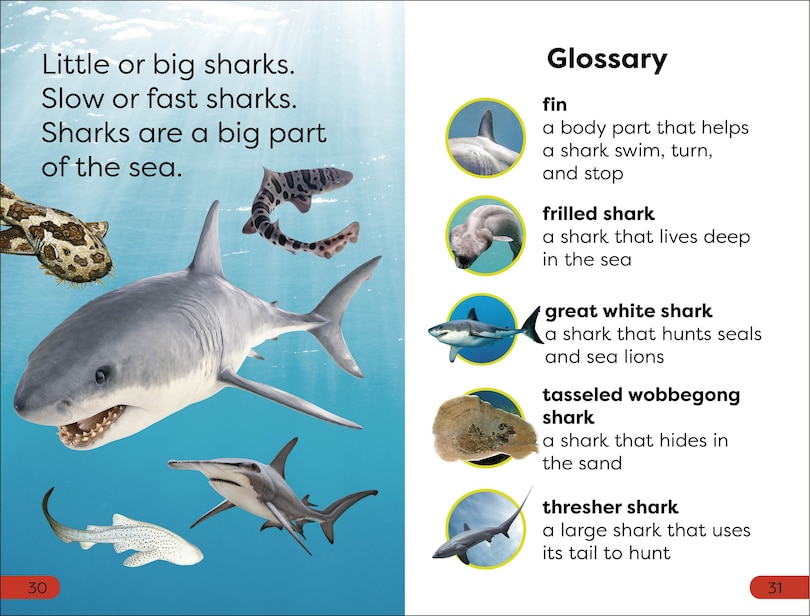 Aper&ccedil;u du contenu_DK Super Readers Pre-Level Little Sharks Big Sharks