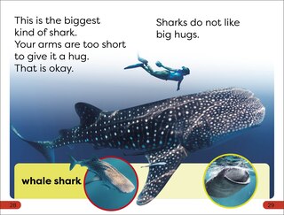 Aper&ccedil;u du contenu 2_DK Super Readers Pre-Level Little Sharks Big Sharks