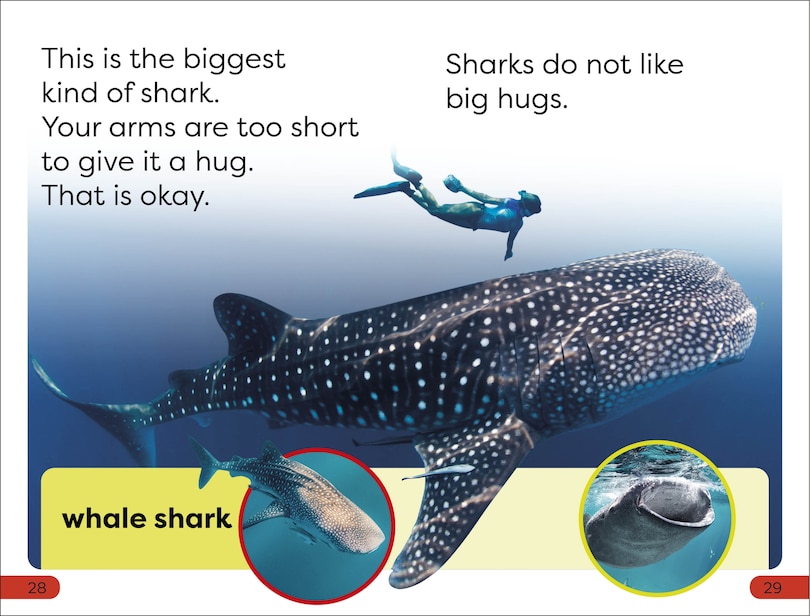 Aper&ccedil;u du contenu 2_DK Super Readers Pre-Level Little Sharks Big Sharks
