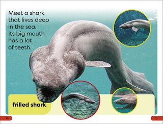 Aper&ccedil;u du contenu 3_DK Super Readers Pre-Level Little Sharks Big Sharks