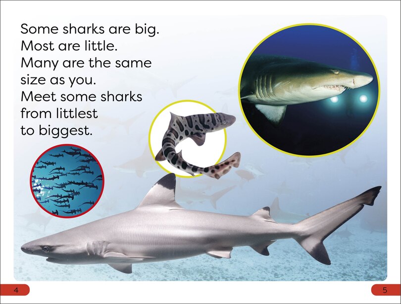 Aper&ccedil;u du contenu 4_DK Super Readers Pre-Level Little Sharks Big Sharks