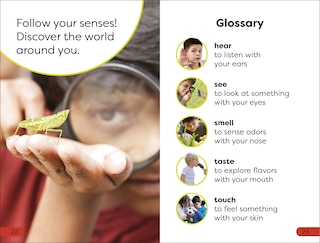 Sample content_DK Super Readers Pre-Level Five Senses