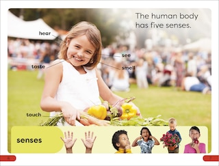 Sample content 3_DK Super Readers Pre-Level Five Senses