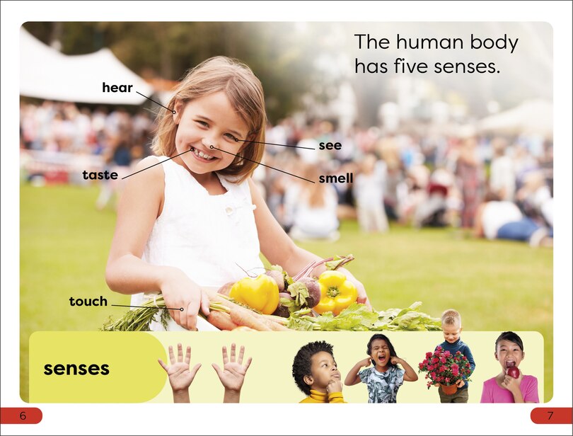 Sample content 3_DK Super Readers Pre-Level Five Senses