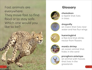 Aper&ccedil;u du contenu_DK Super Readers Pre-Level Fast Animals