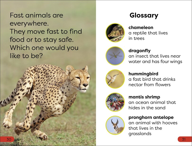 Aper&ccedil;u du contenu_DK Super Readers Pre-Level Fast Animals