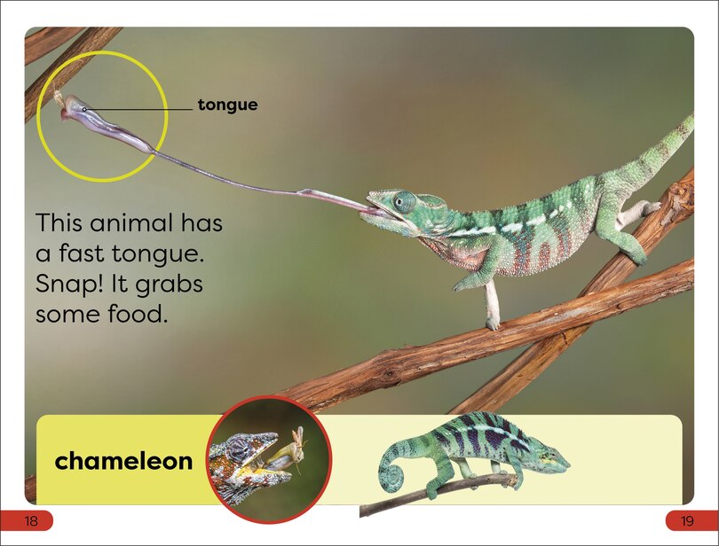 Aper&ccedil;u du contenu 2_DK Super Readers Pre-Level Fast Animals