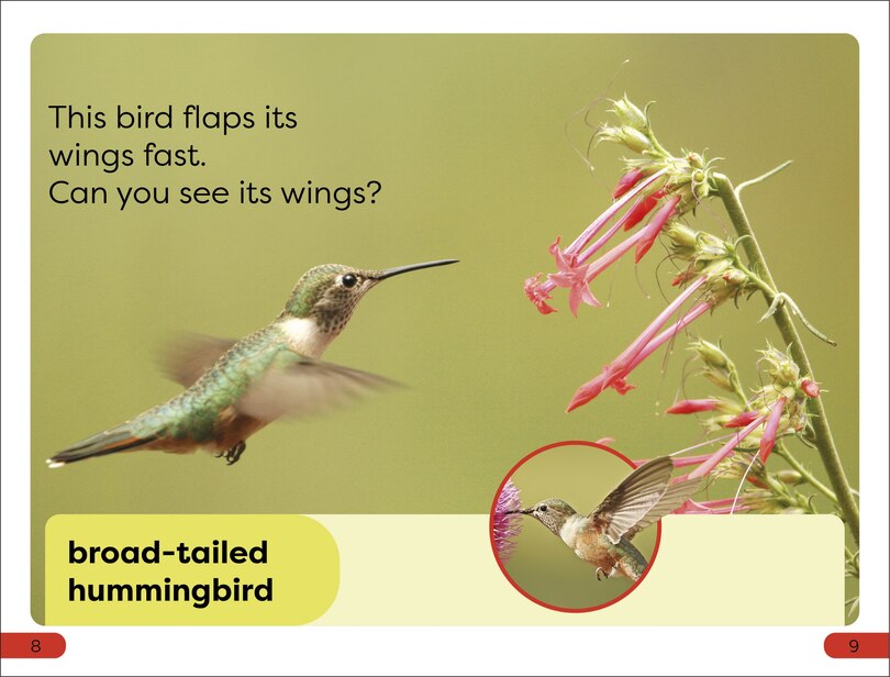 Aper&ccedil;u du contenu 3_DK Super Readers Pre-Level Fast Animals