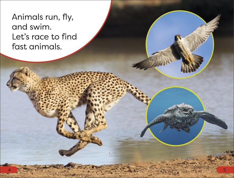 Aper&ccedil;u du contenu 4_DK Super Readers Pre-Level Fast Animals