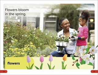 Sample content 3_DK Super Readers Pre-Level Seasons