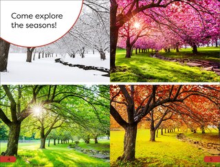 Sample content 4_DK Super Readers Pre-Level Seasons
