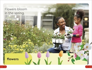 Sample content 3_DK Super Readers Pre-Level Seasons