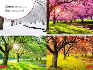 Sample content 4_DK Super Readers Pre-Level Seasons