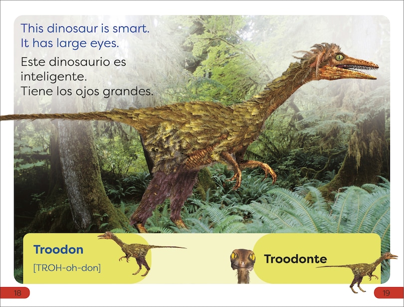 Sample content 2_DK Super Readers Pre-Level Bilingual Meet the Dinosaurs – Conoce los dinosaurios