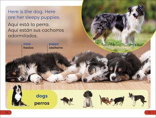 Aper&ccedil;u du contenu 2_DK Super Readers Pre-Level English-Spanish Bilingual Farm Animals - Los animales de la granja