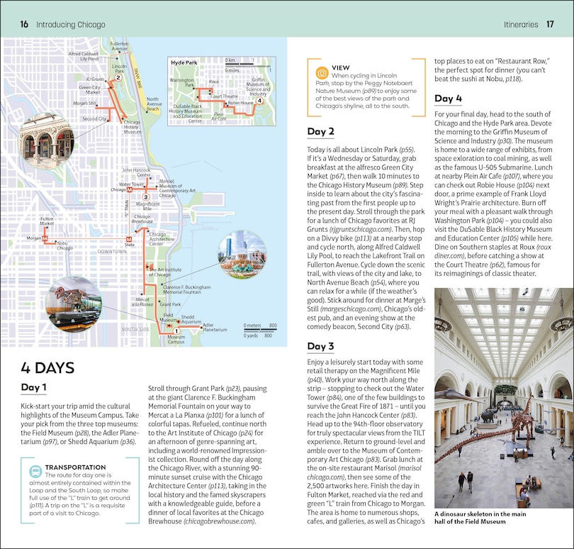 Aperçu du contenu 5_DK Top 10 Chicago