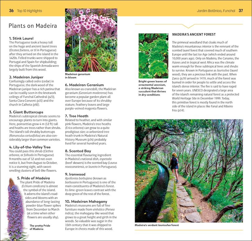 Sample content 3_DK Top 10 Madeira