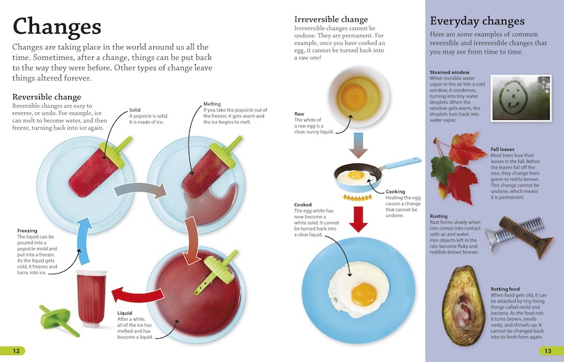 Sample content 3_Dkfindout! Science