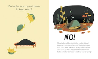 Aper&ccedil;u du contenu 3_Do Frogs Drink Hot Chocolate?