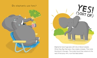 Aper&ccedil;u du contenu 4_Do Lizards Eat Ice Cream?