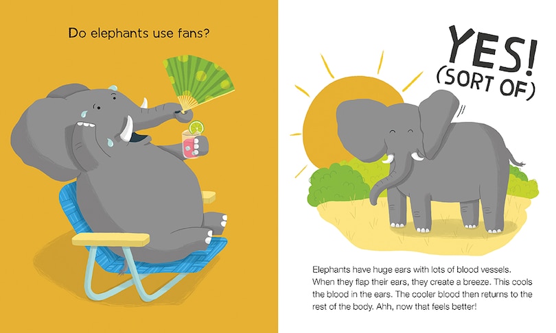 Aper&ccedil;u du contenu 4_Do Lizards Eat Ice Cream?