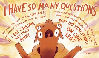 Sample content_Do You Really Know Flamingos?